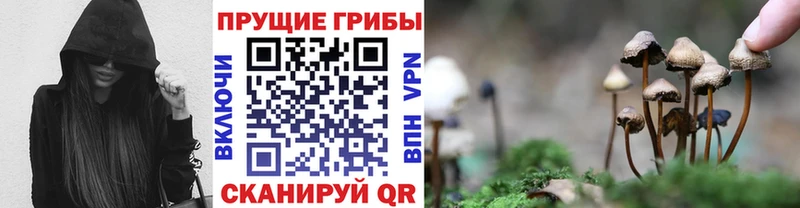 Галлюциногенные грибы GOLDEN TEACHER  Ярославль 